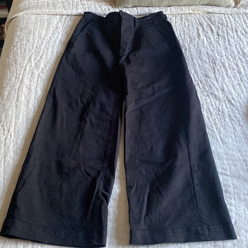 Everlane Wide Leg Crop Pant